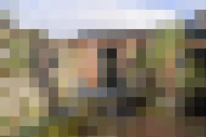 Rozenstraat 113 Hilversum thumbnail 36