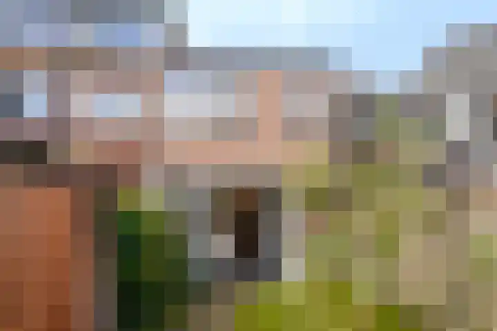 Rozenstraat 113 Hilversum thumbnail 37