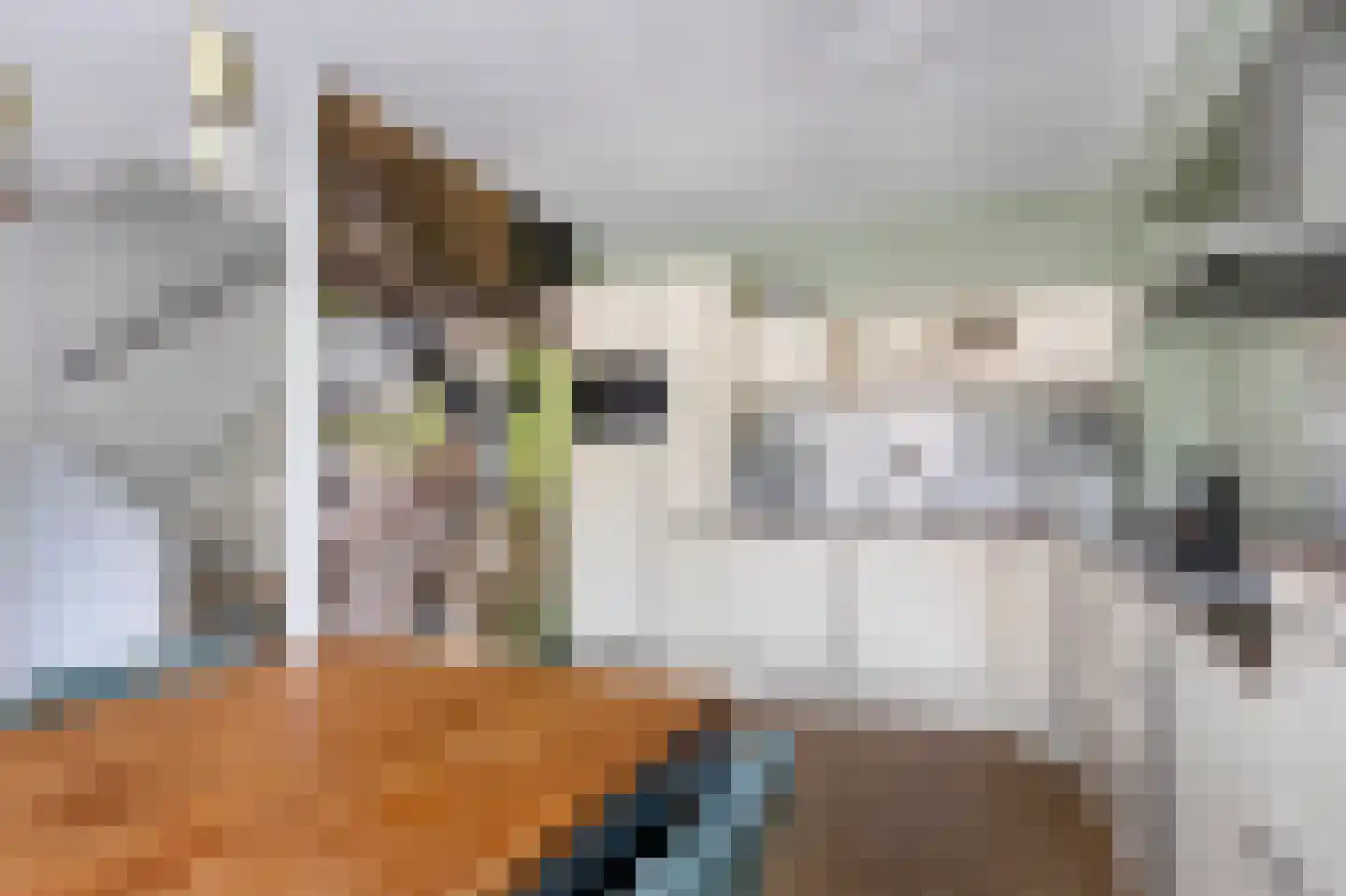 Rozenstraat 12 Bovensmilde thumbnail 12