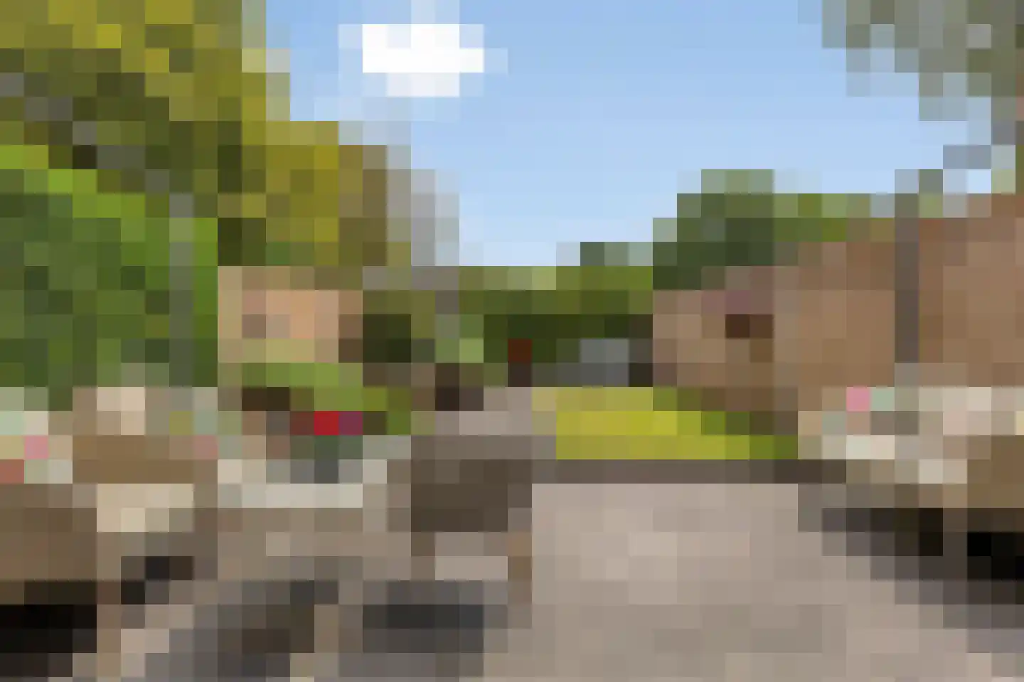 Rozenstraat 12 Bovensmilde thumbnail 18