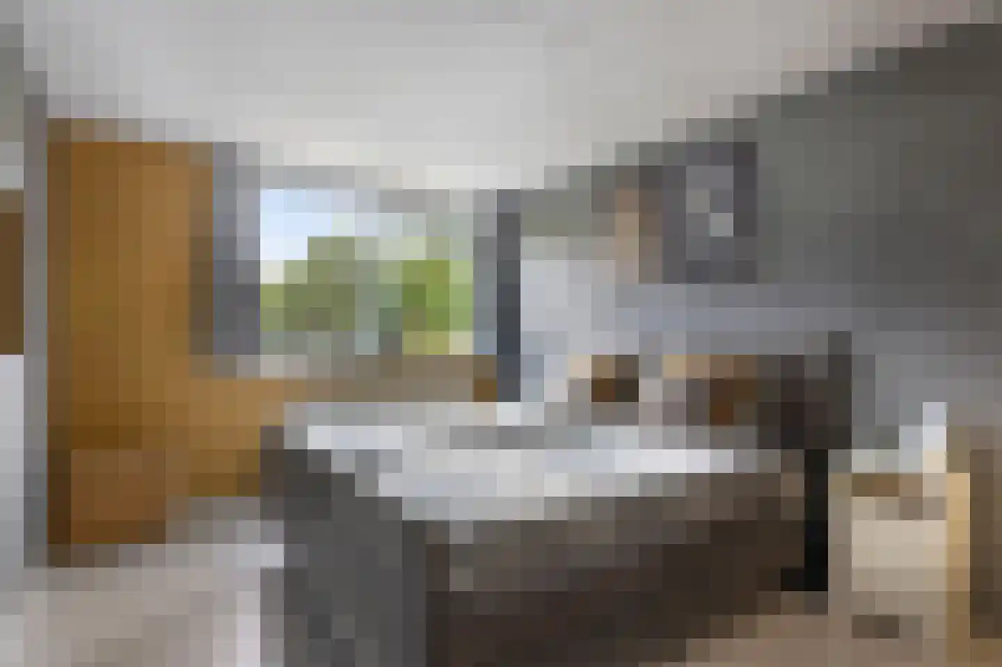 Rozenstraat 12 Bovensmilde thumbnail 23