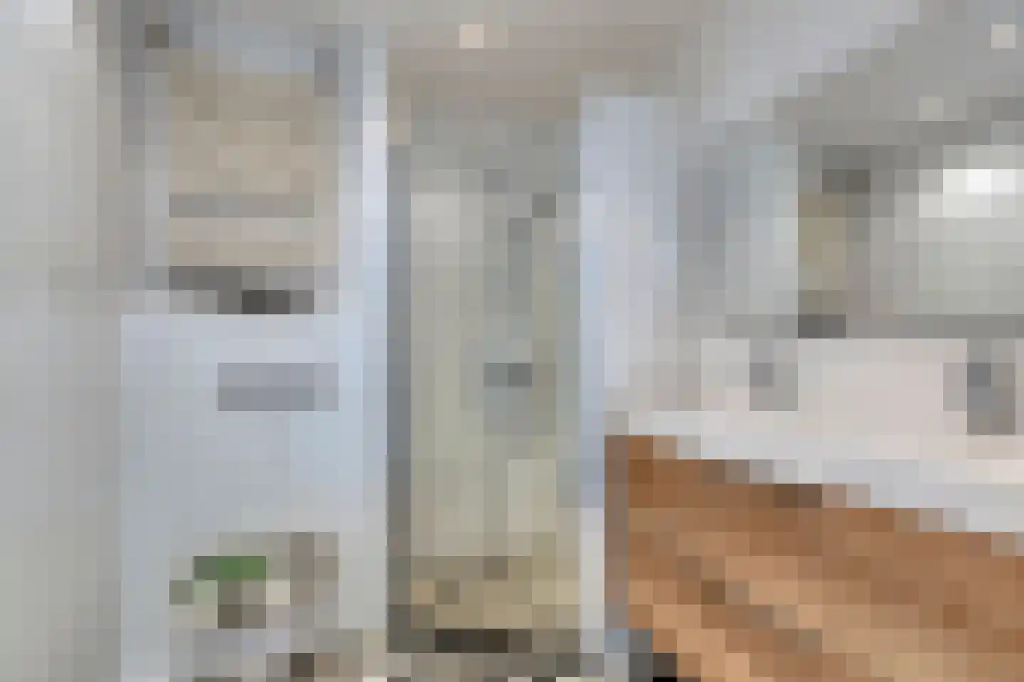 Rozenstraat 12 Bovensmilde thumbnail 28