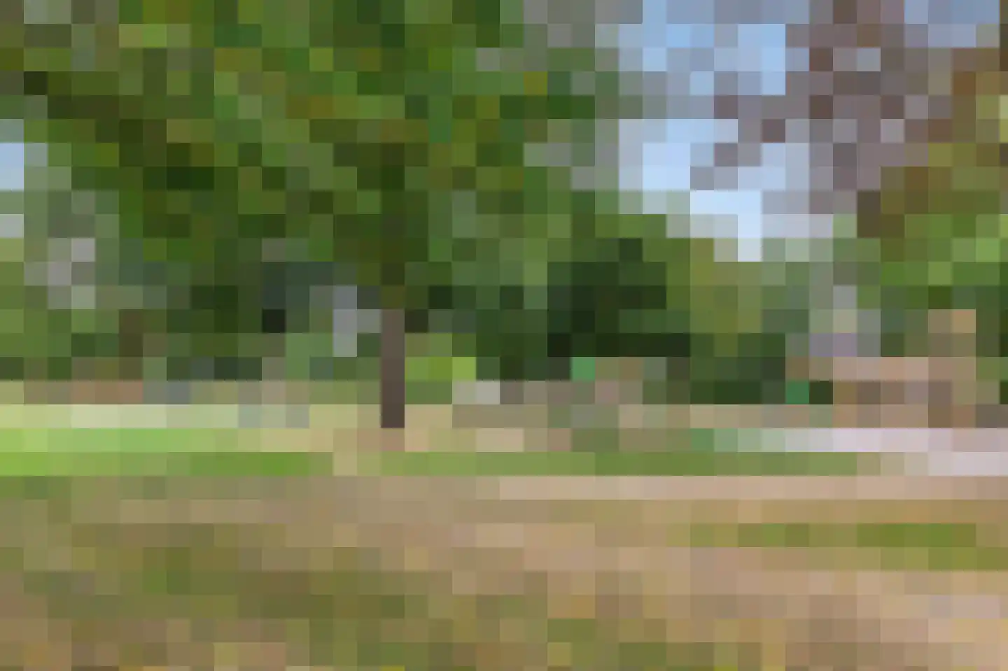 Rozenstraat 12 Bovensmilde thumbnail 36