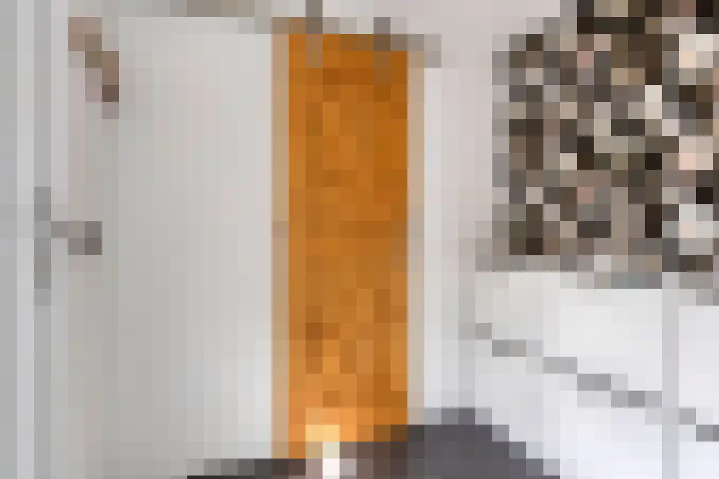 Rozenstraat 12 Bovensmilde thumbnail 8
