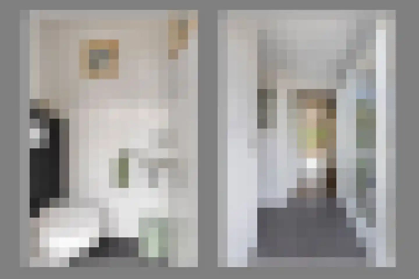 Rozenstraat 12 Bovensmilde thumbnail 9