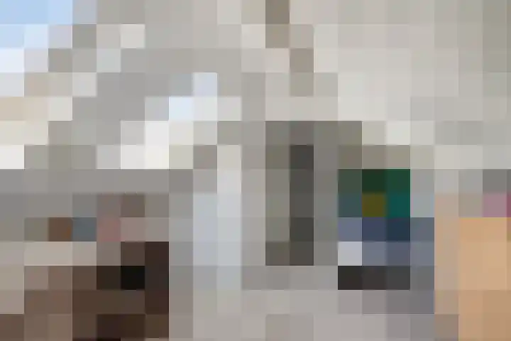 Rozenstraat 12 Siebengewald thumbnail 25
