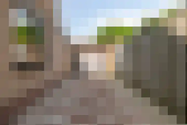 Rozenstraat 12 Siebengewald thumbnail 31