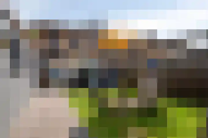 Rozenstraat 12 Siebengewald thumbnail 5