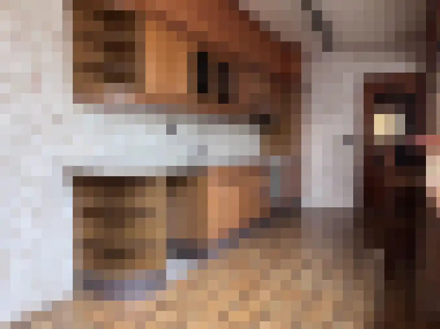 Rozenstraat 13 Breskens thumbnail 11
