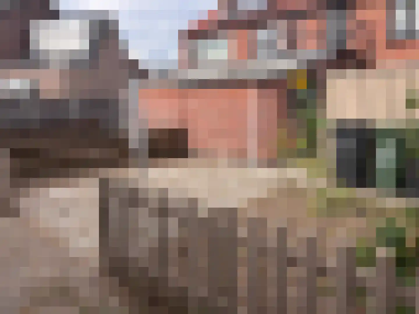 Rozenstraat 13 Breskens thumbnail 24