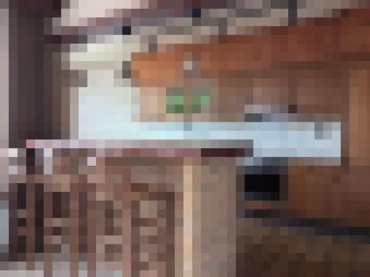 Rozenstraat 13 Breskens thumbnail 7