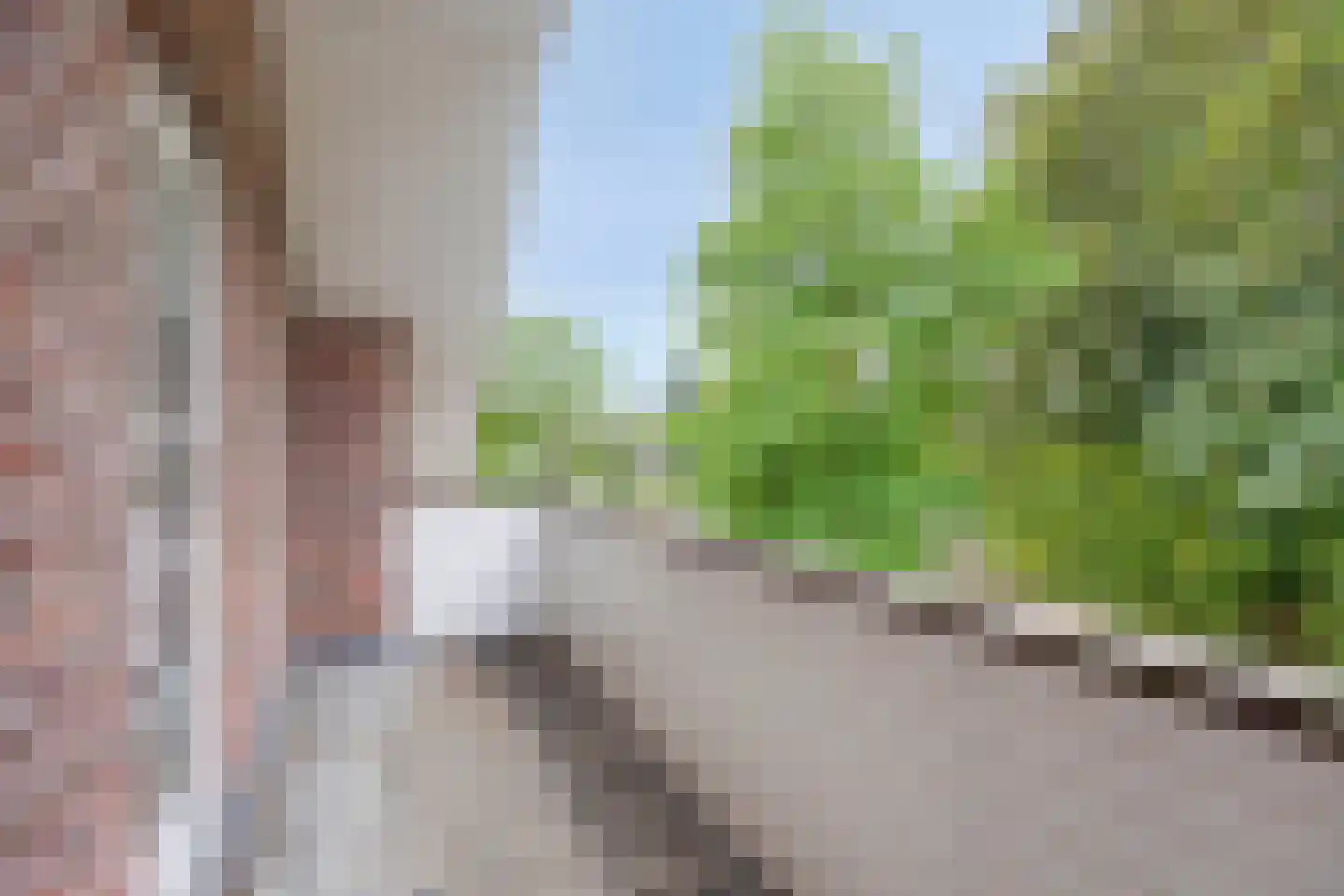 Rozenstraat 13 Dodewaard thumbnail 35