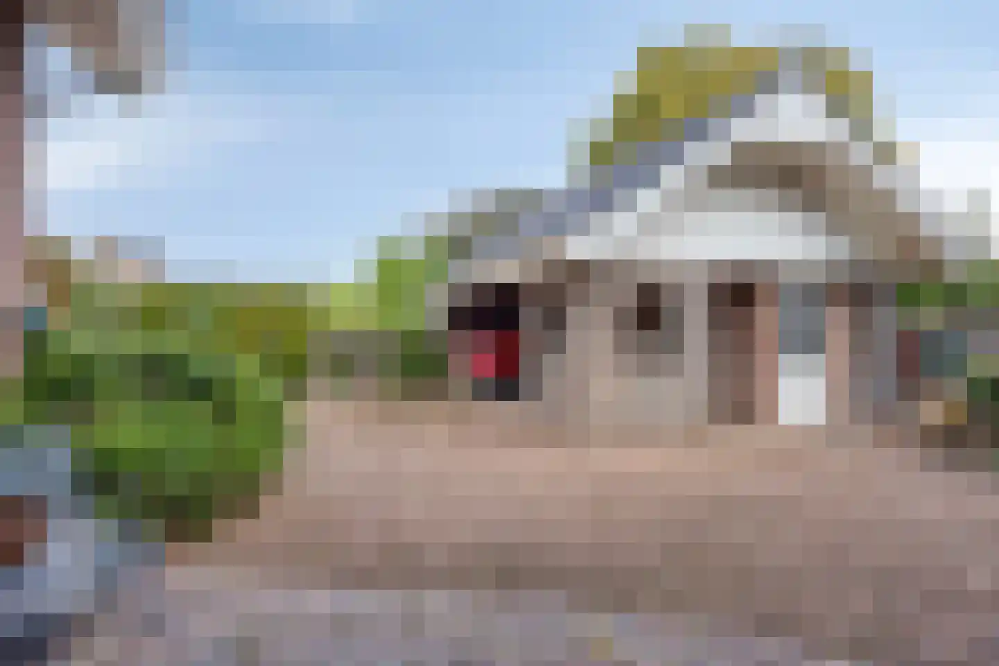 Rozenstraat 13 Dodewaard thumbnail 40