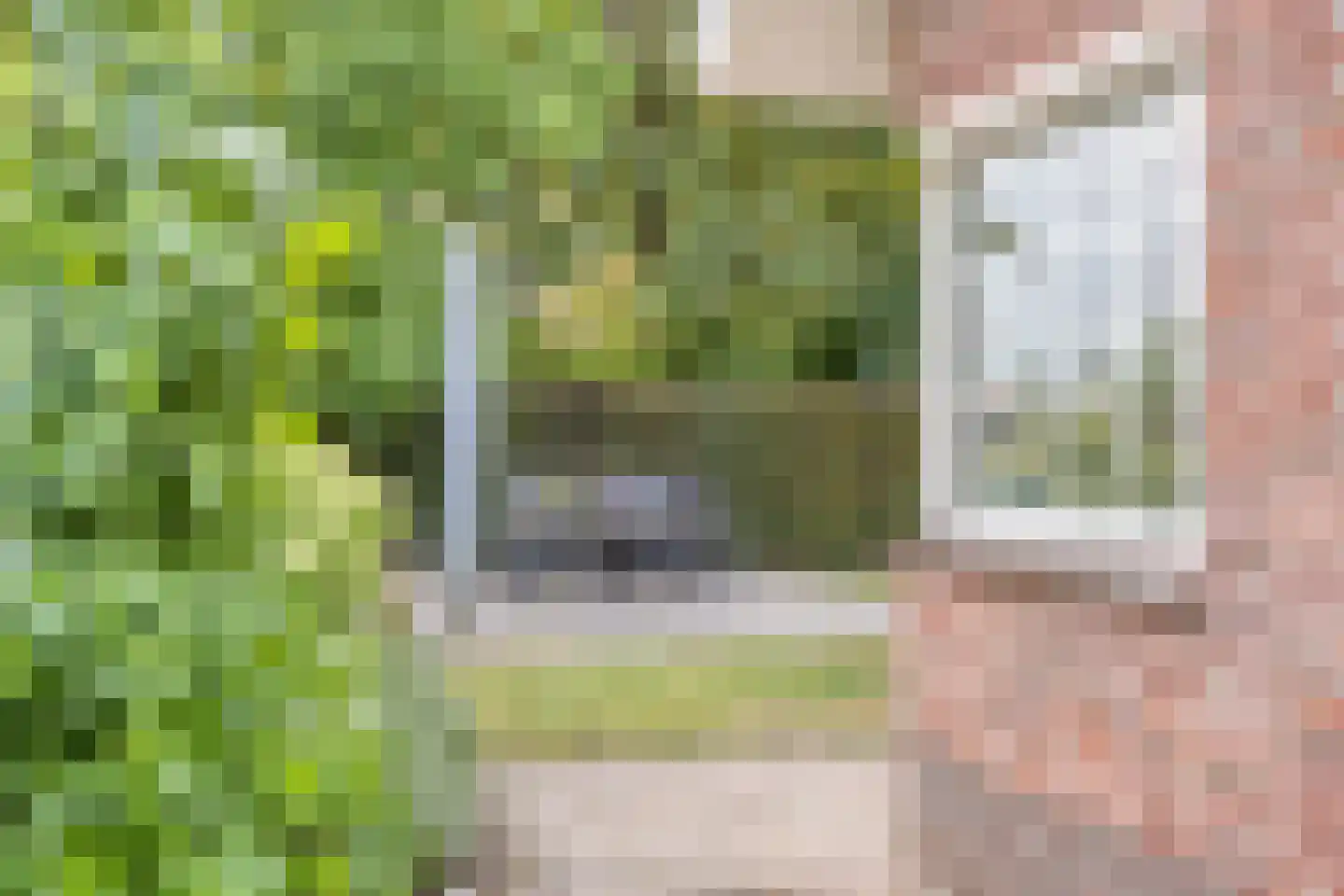 Rozenstraat 13 Dodewaard thumbnail 44