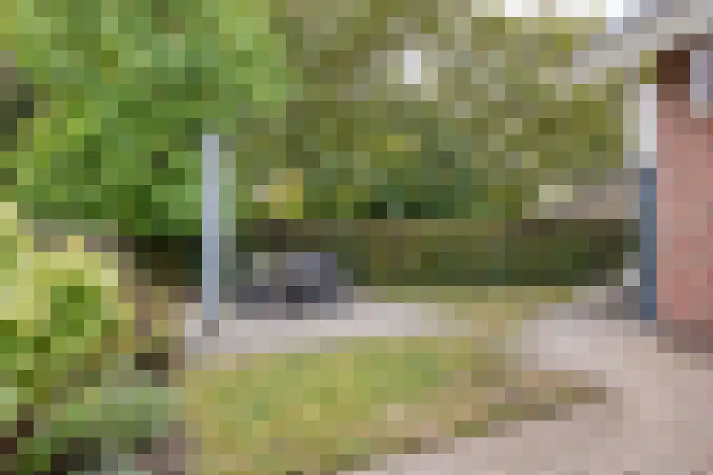 Rozenstraat 13 Dodewaard thumbnail 45