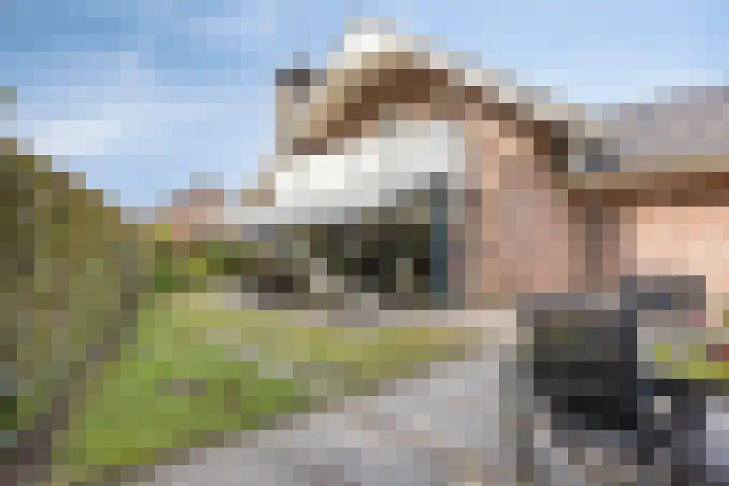 Rozenstraat 13 Dodewaard thumbnail 49