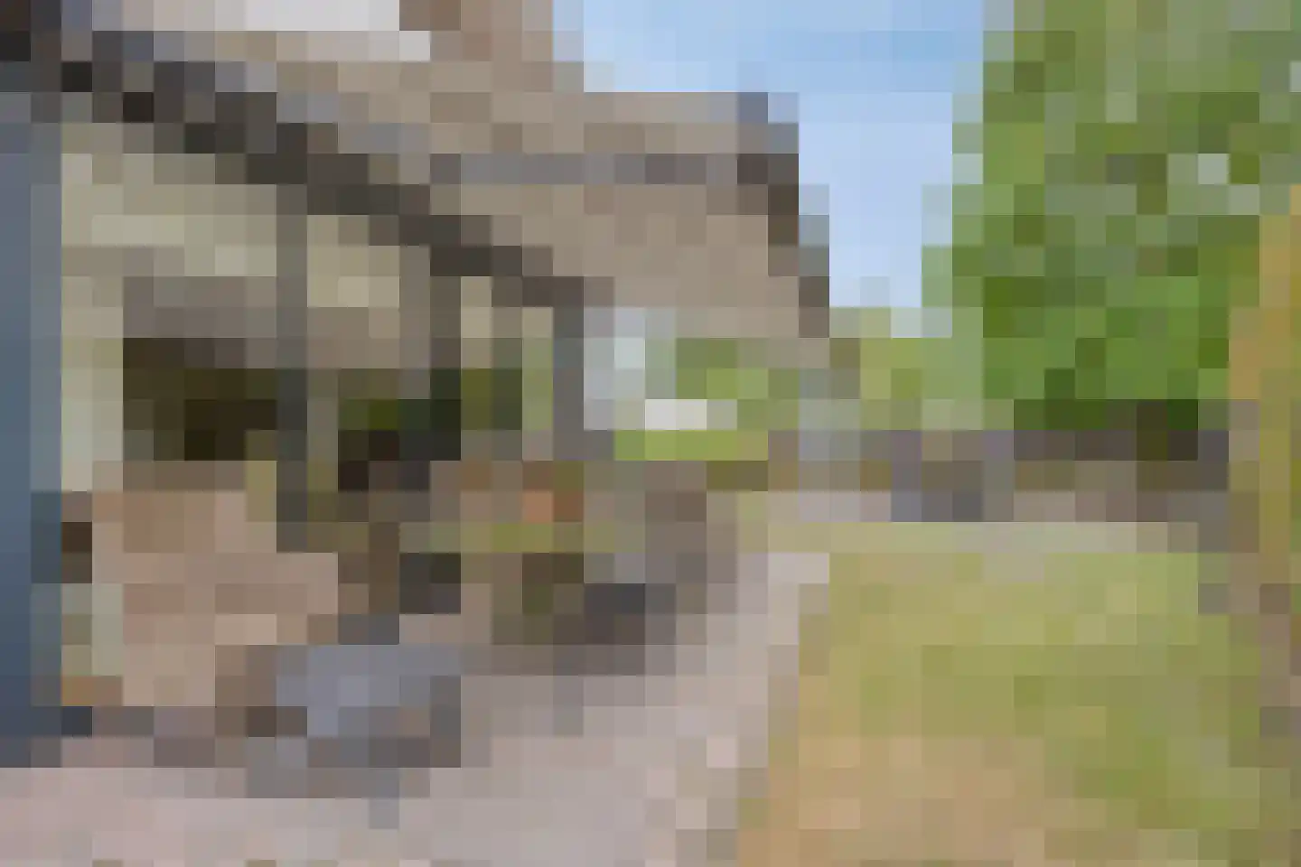 Rozenstraat 13 Dodewaard thumbnail 51