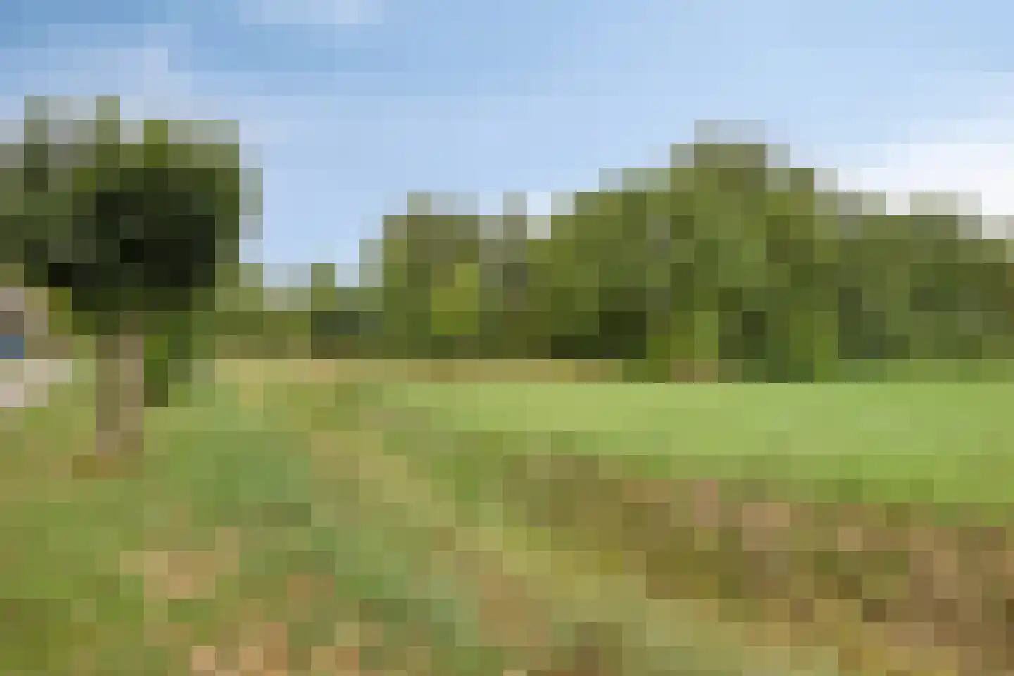 Rozenstraat 13 Dodewaard thumbnail 53