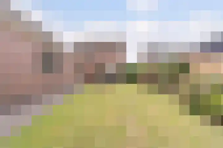 Rozenstraat 13 Heerde thumbnail 31