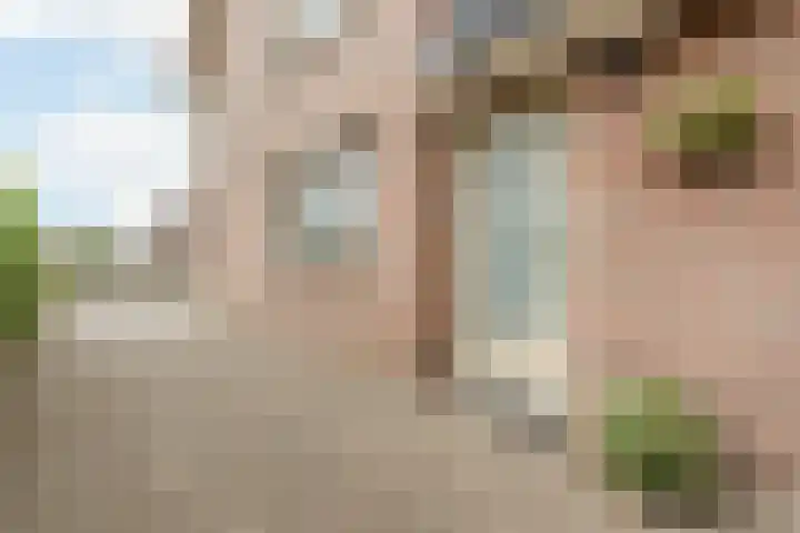 Rozenstraat 13 Heerde thumbnail 34