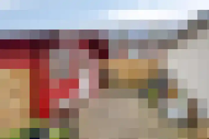 Rozenstraat 13 Steenwijk thumbnail 22