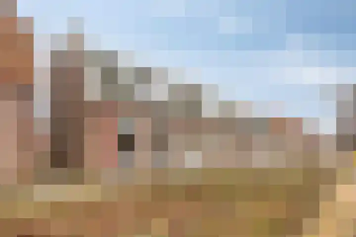 Rozenstraat 13 Steenwijk thumbnail 24