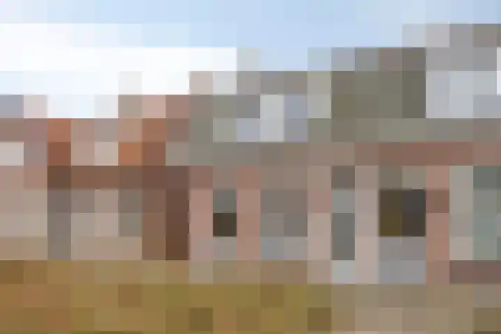 Rozenstraat 13 Steenwijk thumbnail 26