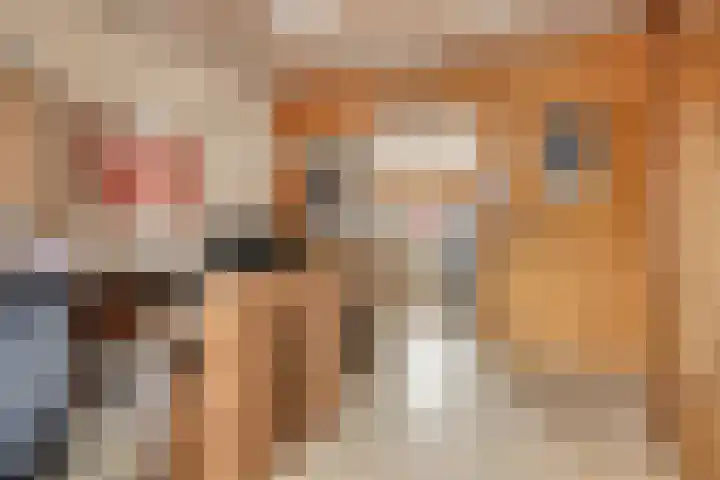 Rozenstraat 13 Steenwijk thumbnail 5