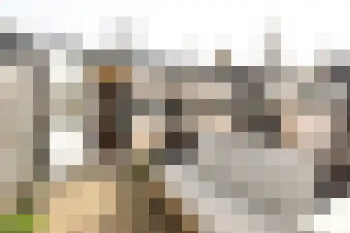 Rozenstraat 14 A Hilversum thumbnail 18