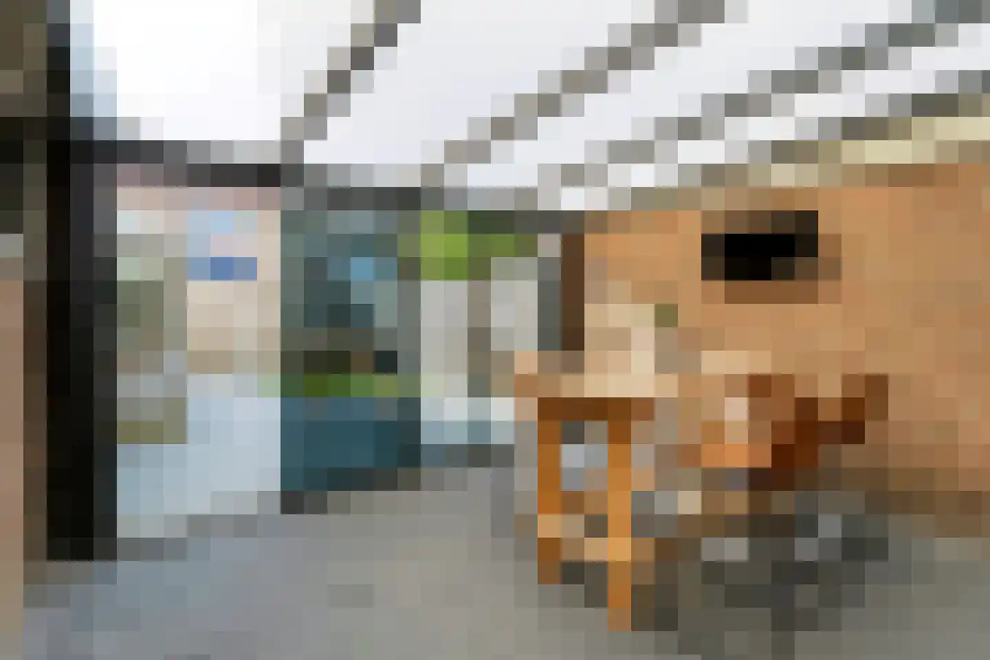 Rozenstraat 14 Hoogeveen thumbnail 33
