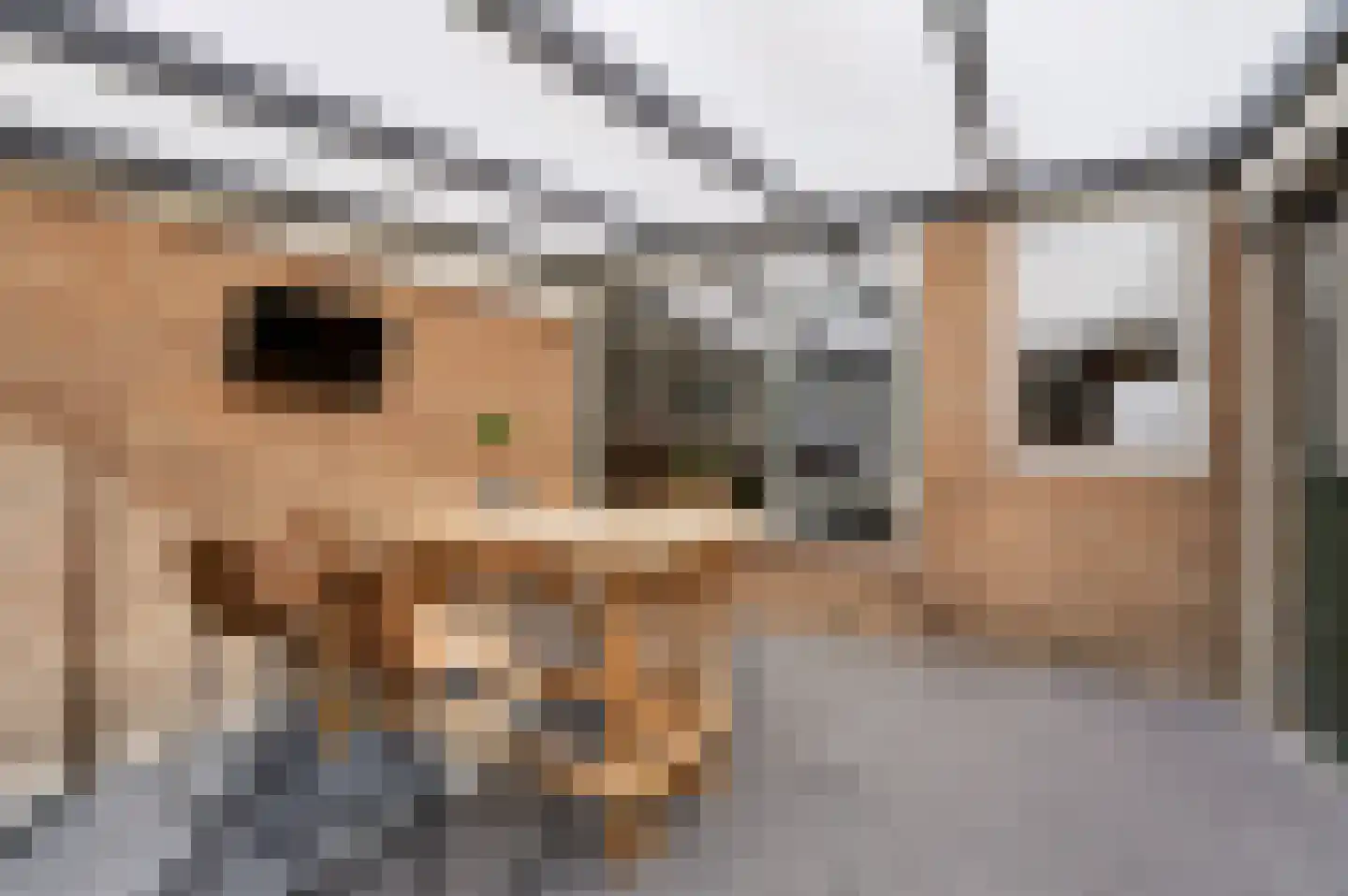 Rozenstraat 14 Hoogeveen thumbnail 35
