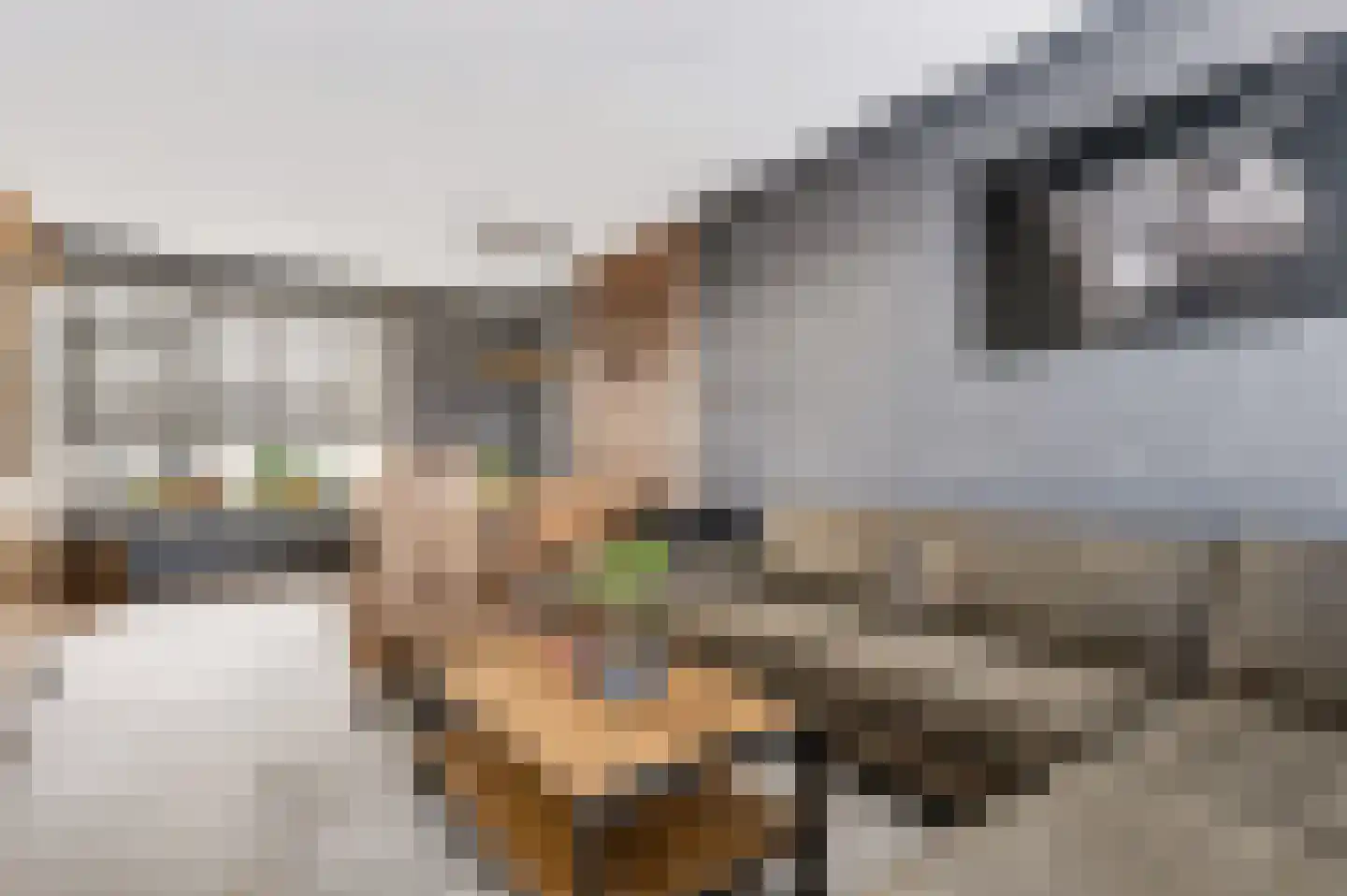 Rozenstraat 14 Hoogeveen thumbnail 8