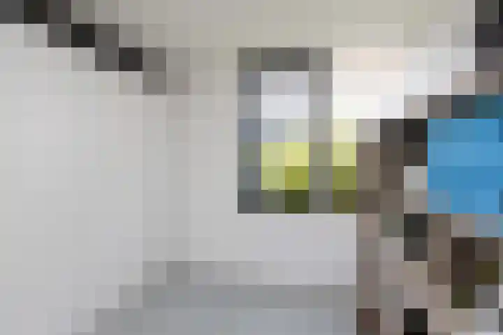 Rozenstraat 14 Sneek thumbnail 27
