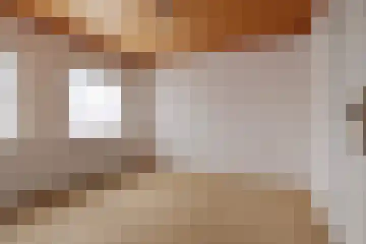 Rozenstraat 15 Budel thumbnail 16