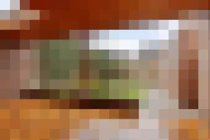 Rozenstraat 15 Budel thumbnail 23