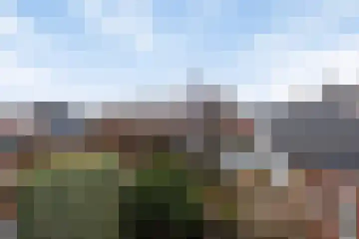 Rozenstraat 15 Budel thumbnail 26