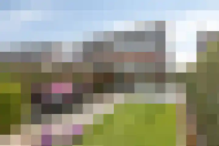 Rozenstraat 15 Budel thumbnail 7