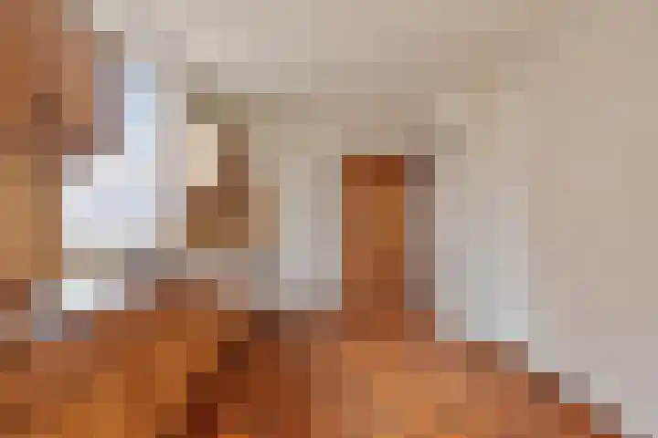 Rozenstraat 15 Budel thumbnail 7
