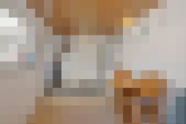 Rozenstraat 15 Heesch thumbnail 10