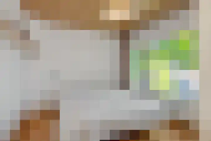 Rozenstraat 15 Heesch thumbnail 15