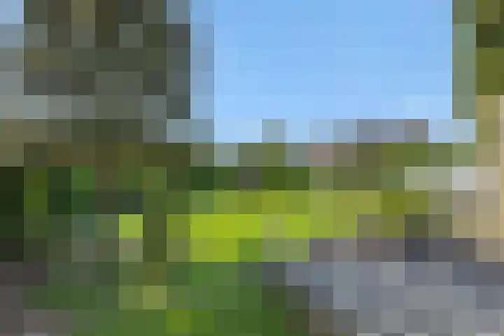 Rozenstraat 15 Heesch thumbnail 27