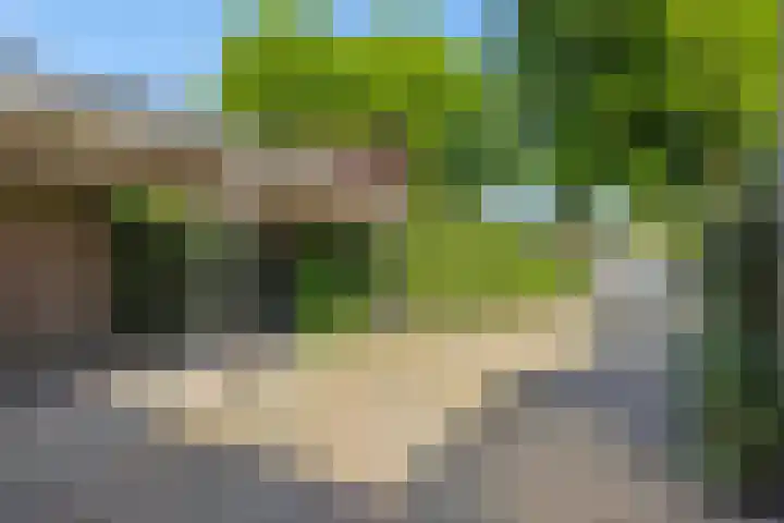 Rozenstraat 15 Heesch thumbnail 31