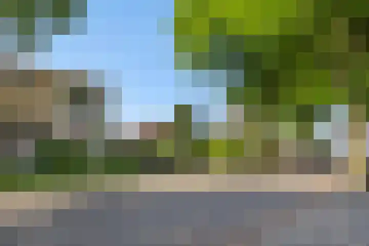 Rozenstraat 15 Heesch thumbnail 39