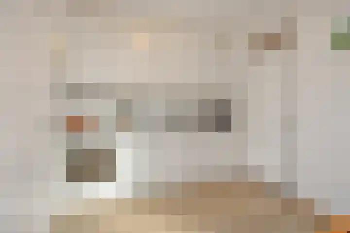 Rozenstraat 15 Heesch thumbnail 4