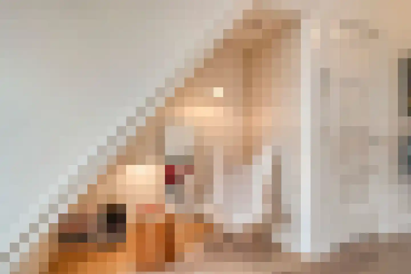 Rozenstraat 15 Zwolle thumbnail 13