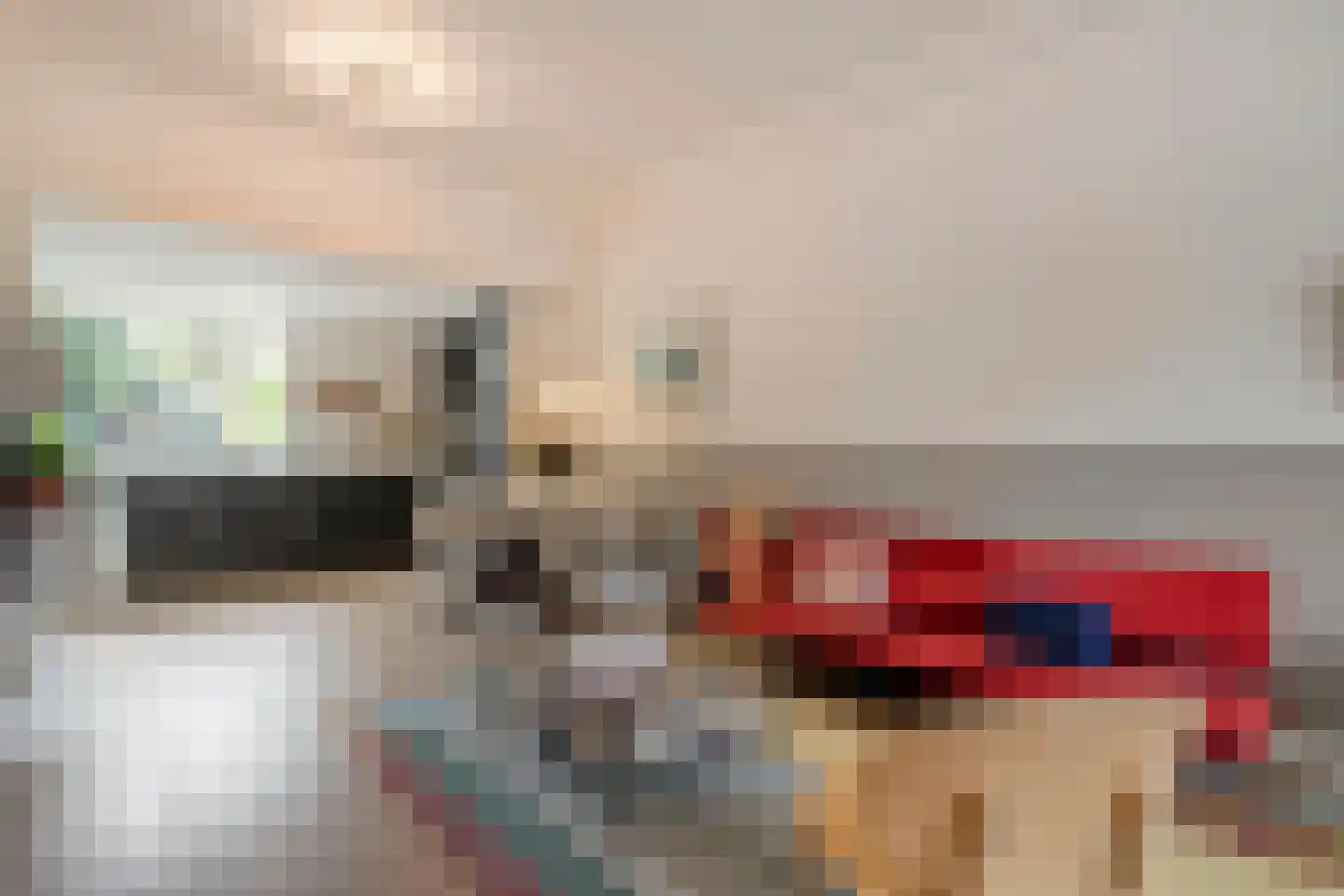 Rozenstraat 15 Zwolle thumbnail 14