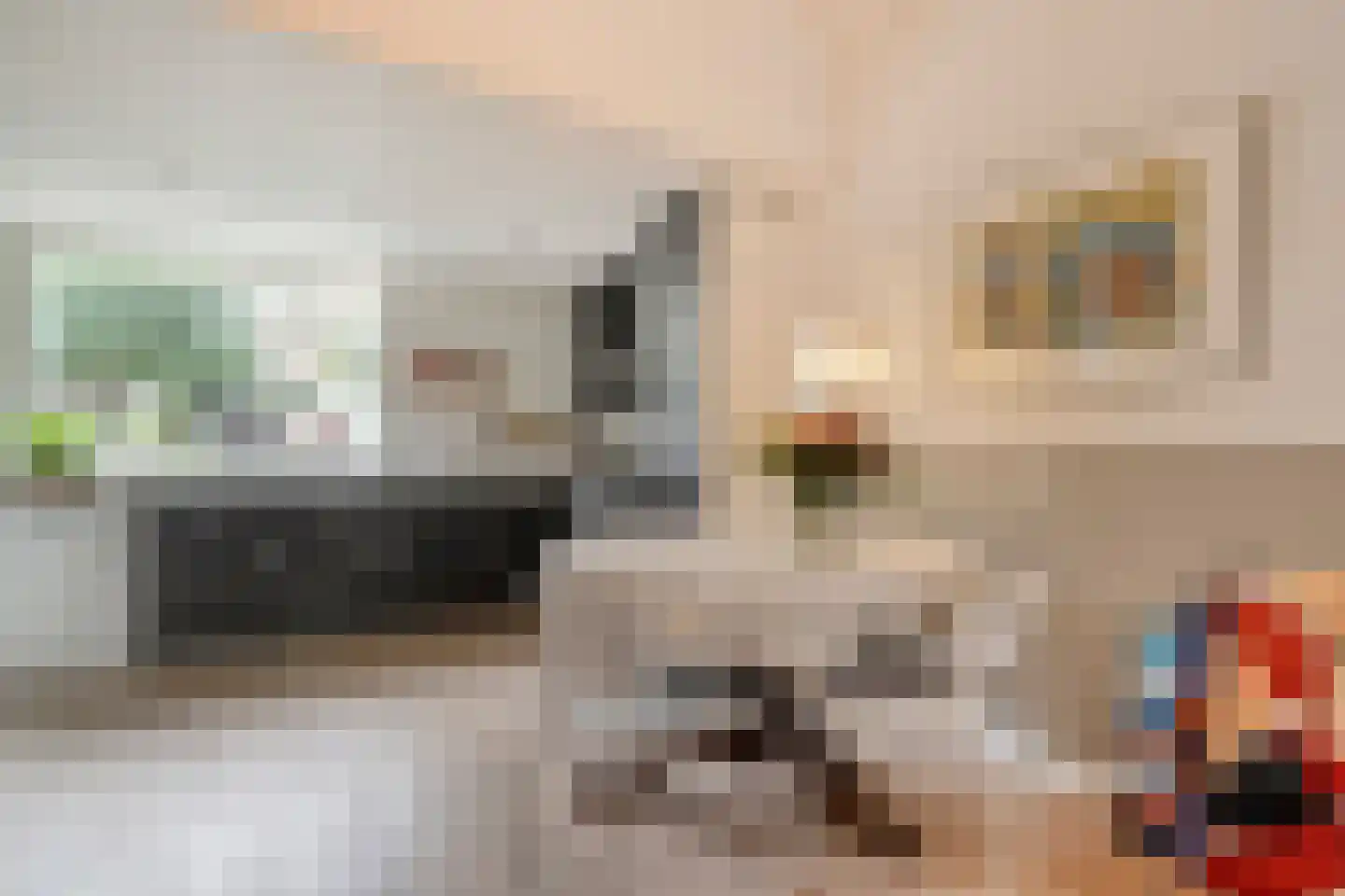 Rozenstraat 15 Zwolle thumbnail 15