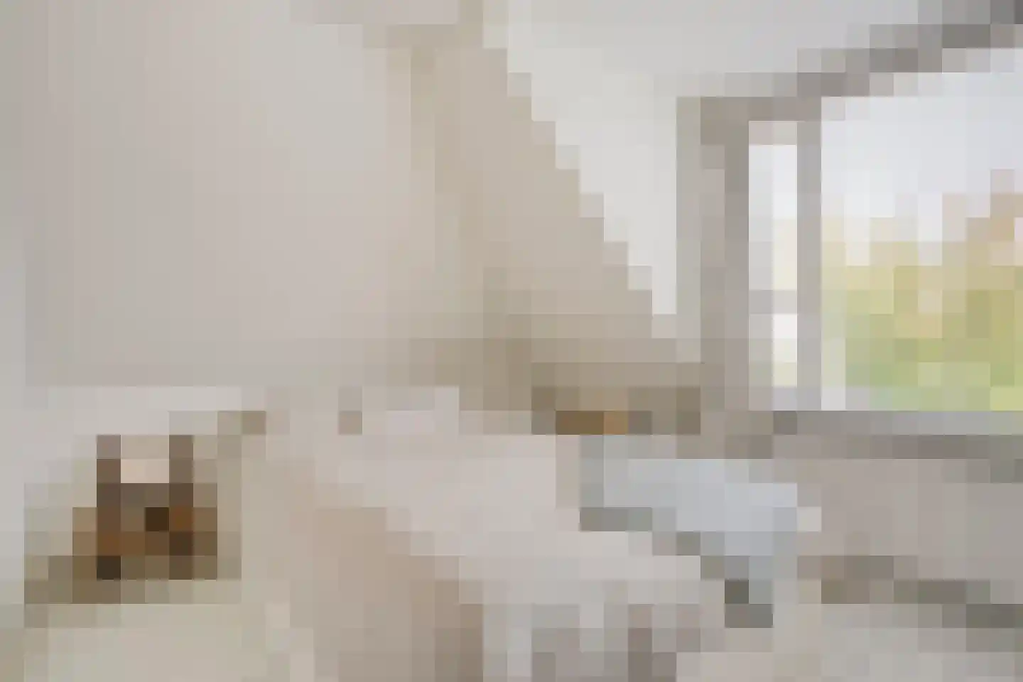 Rozenstraat 15 Zwolle thumbnail 23