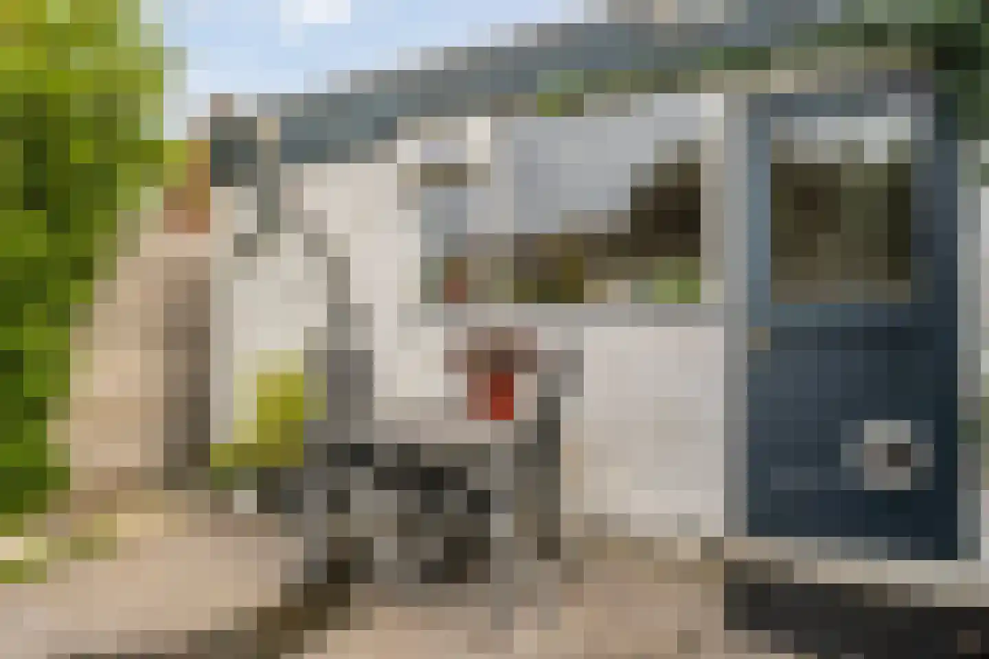 Rozenstraat 15 Zwolle thumbnail 30