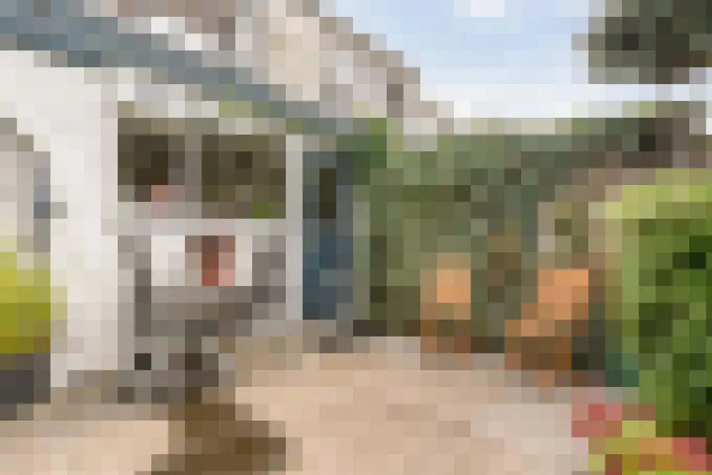 Rozenstraat 15 Zwolle thumbnail 31